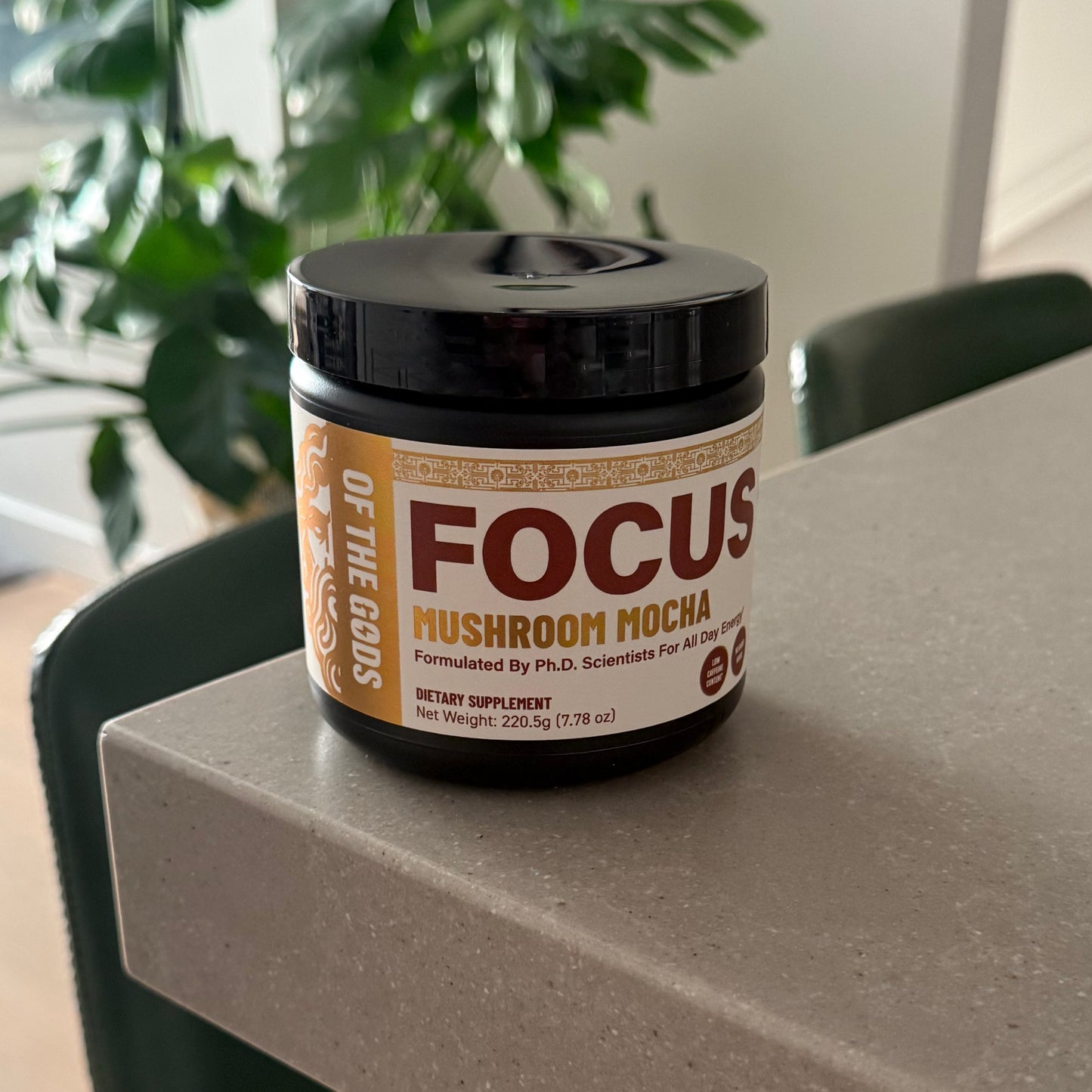 Focus